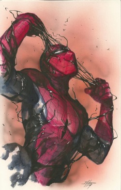 extraordinarycomics:   Spider-Man by Gabriele