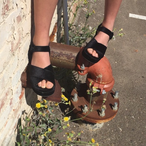 flowury:   my ugly toes & the jeffrey campbells i got for 30 dollars on black friday  @ beansiie 