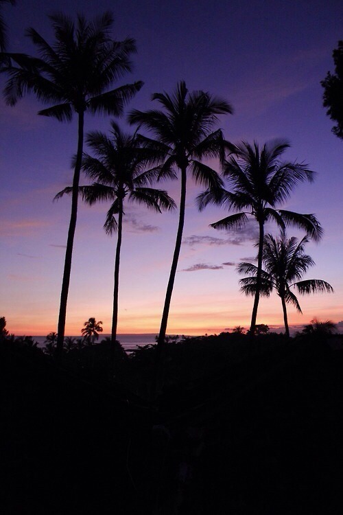 words-of-emotion:  More photography here 