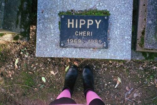 #hippy #chéri #dogcemetery #grave #1969 #1981 #analogphotography #filmisnotdead