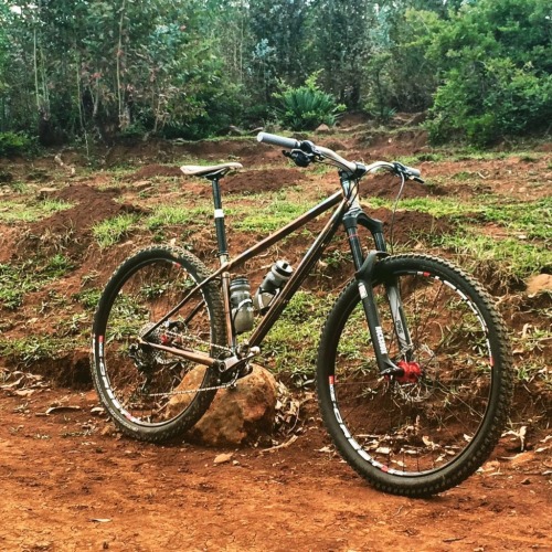 bikesandgirlsandmacsandstuff: (via Alex’s hand built Mercer 29er Trail Bike - Veloccino)