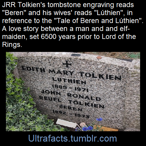 toxicxbunni:  ultrafacts:  Source: [x] Click HERE for more facts  Awe i just cried