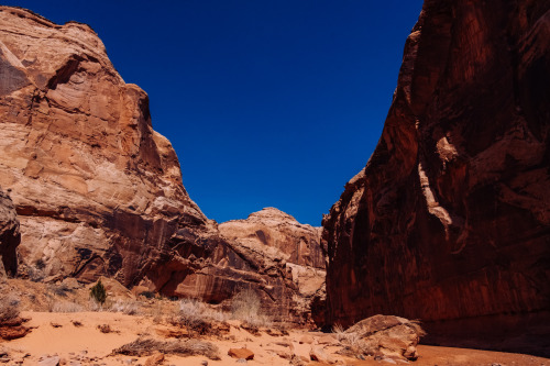 Descending Horseshoe Canyon, Canyonlands National Park