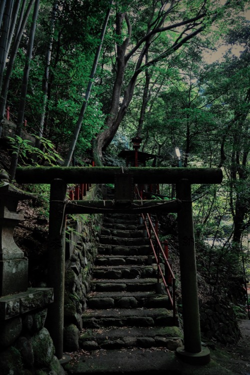 tokyotuisku:Mossy shrine gate ( Yugawara, Kanagawa )