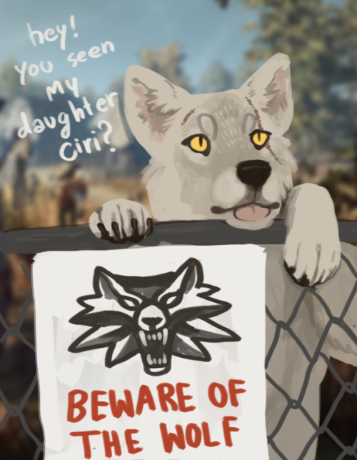 Geralt in one picture; Picture of a fence with BEWARE OF DOG sign, but the dog is a big goof who was