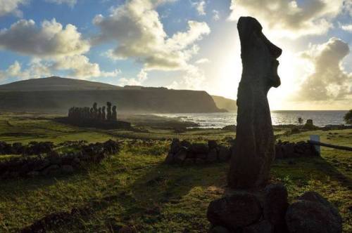 Ancient Moai of Easter Island, a Chilean island in the Pacific Ocean, at the Southern Eastern most p