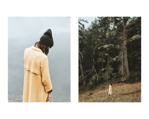 jaredchambers:  Alpine Lake - Marin, Ca - Jan 2016Jessica Wen-Di Tan