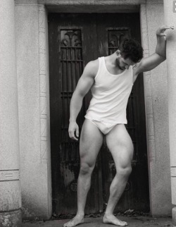 gayslipkangourou:Collector Gay / Slip Blanc