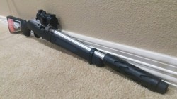 omega2669:  My Ruger 10/22 Takedown with
