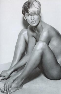 famousnakedbodies:  Linda Evangelista