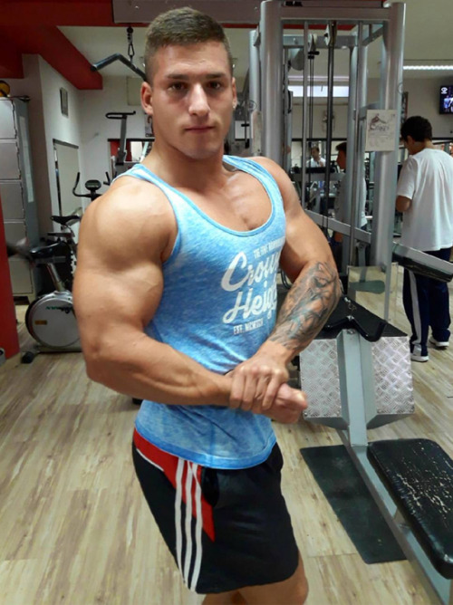 Porn photo serbian-muscle-men:  Serbian lifeguard Filip