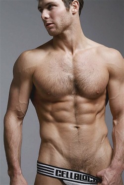 Tantalizing-Torsos:  Tantalizing Torsos! 