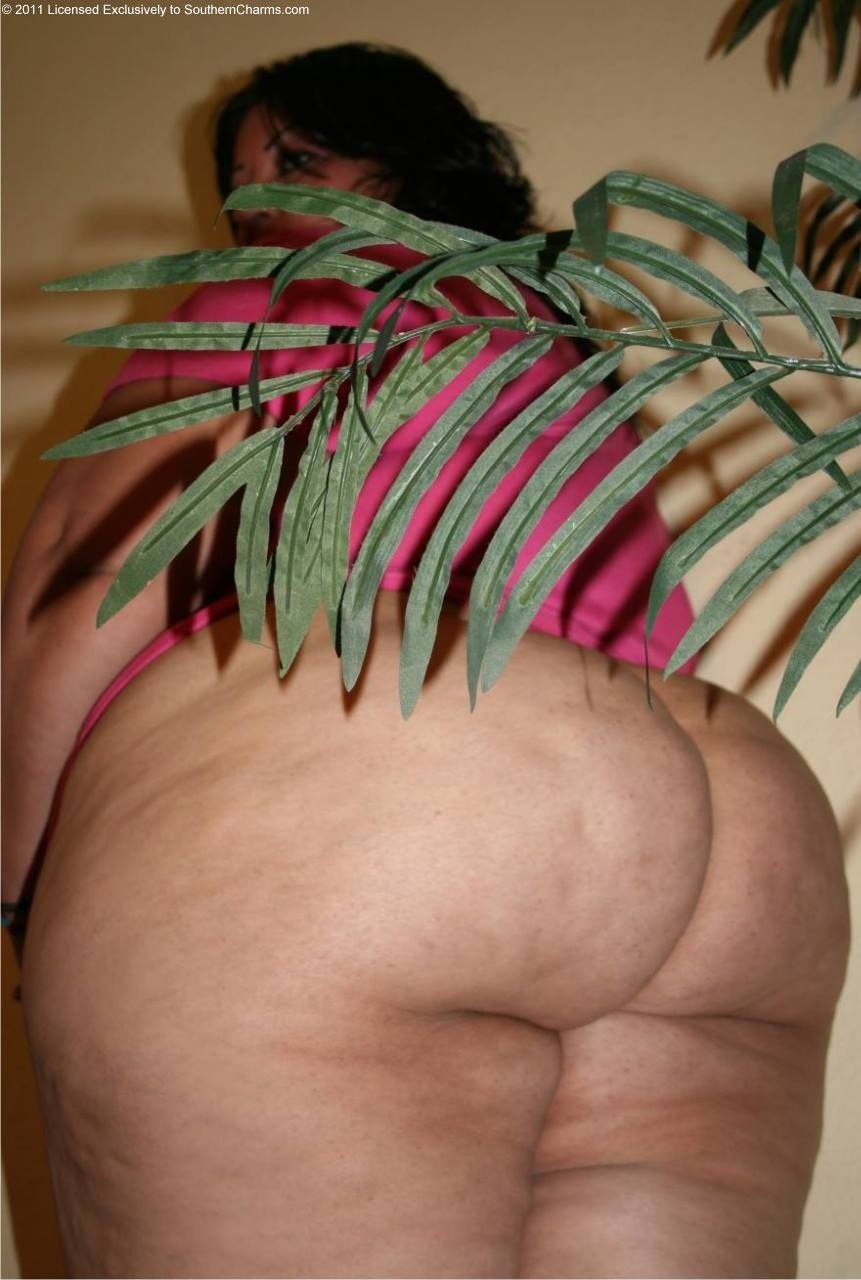 World Of BBW Asses