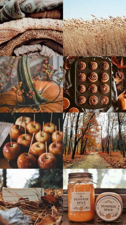 seasonal-vibess:autumn vibes!