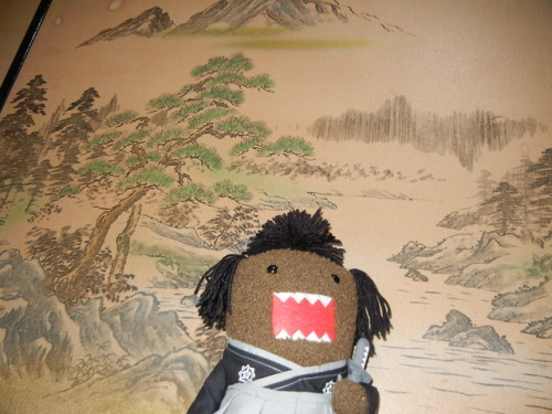 Samurai Domo Kun on Tatami floor. This is a Japanese style.