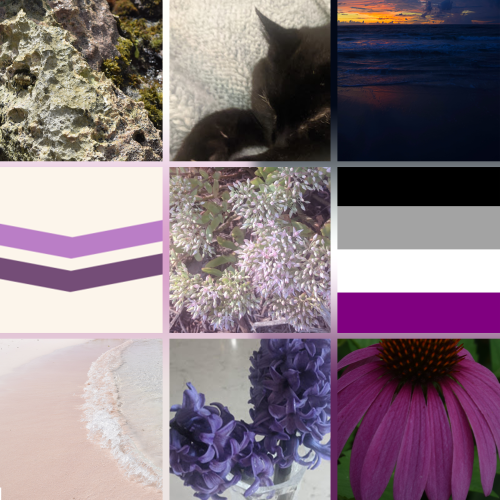 A queer ace moodboard, for the queer asexuals out there! All images used are my own, please credit i