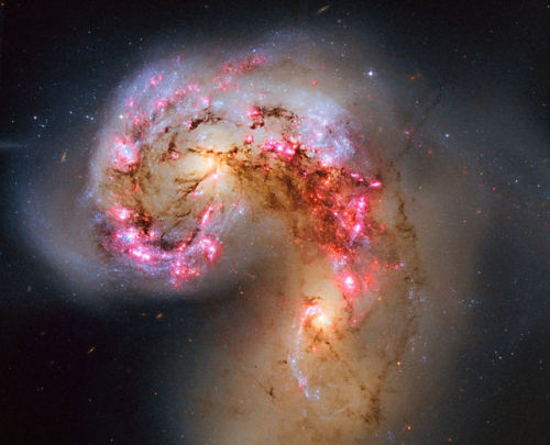 The Antennae galaxies in collisionTwo galaxies are squaring off in Corvus and here are the latest pi