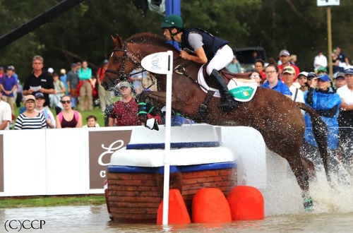 canteringcreekphotography:Ireland’s Cathal Daniels and Rioghan Rua.  2018 FEI World Equestrian Games