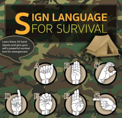 kungfutaichimaster:      Sign language for