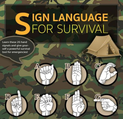 Porn Pics kungfutaichimaster:      Sign language for