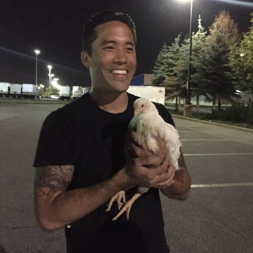 torontocowsave: Says Marc Ching from Animal Hope and Wellness: “The owners and association that run 