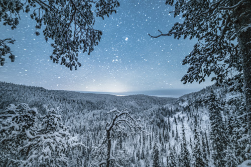 tiinatormanenphotography: Forest night. Dec 2016, Korouoma nature reserve, Finland.by Tiina T&o