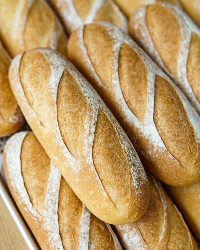 wheat.wit #bread#baking#food#cottagecore#trypo -
