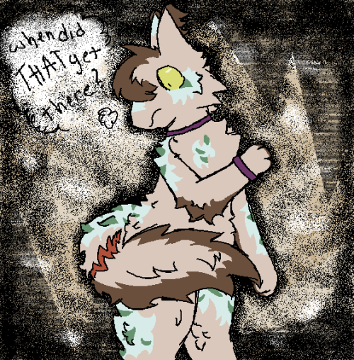 an animal is staring at their long tail that has a wound on it, thinking, "when did that get there?" they have on a purple collar and bracelet