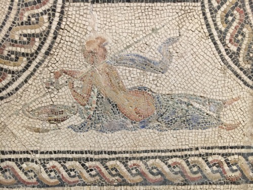 Triumph of Bacchus mosaic, detail* Ejica, Hispania* 3rd century CEVIATOR IMPERI from HISPANIA, CC BY