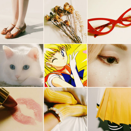 takasuga:Minako Aino l Sailor Venus moodboard