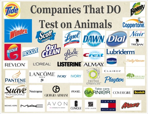 For more companies click on the link: www.thevegetariansite.com/ethics_test.htm Post cre