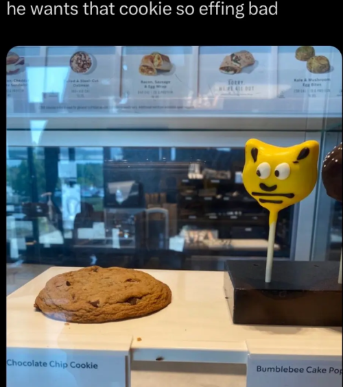 He Wants That Effing Cookie So Bad.