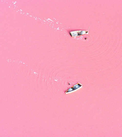 Barcroft Media - Retba Gölü aka Lac Rose (Pink Lake) - Located on the north Cap Vert peninsula of Se