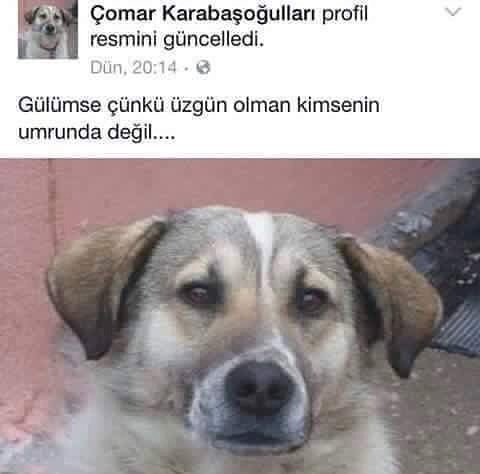 Gülümse çünkü üzgün olman...