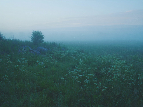 Triin Paja, 4 am, in the fields, 2016