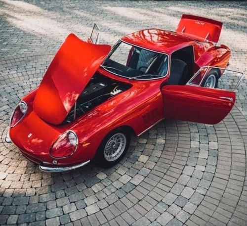 thetyrannosaur: kidzbopdeathgrips: vintageclassiccars: 1966 Ferrari 275 GTB/4.Presented at the 1966 