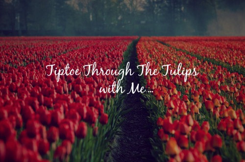 Tiptoe With Me… ✿
