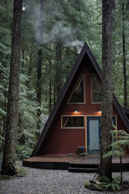 always-alice: abovearth:Untitled by Michael Fllugstad Weird, this picture just showered me in deja-v