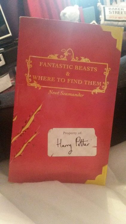 dragon-socks:if you don’t have this book you’re missing out on something special