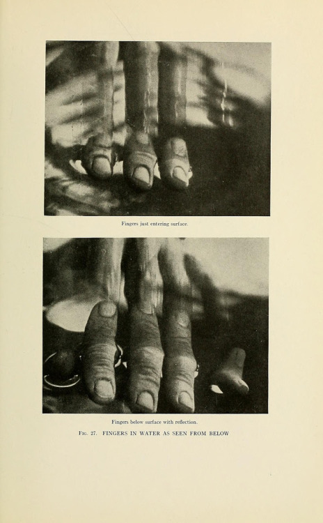 psyche8eros: Fingers in Water as seen from below.  Secrets of the salmon. 1922.