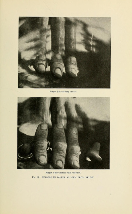 psyche8eros:   Fingers in Water as seen from below.  Secrets of the salmon. 1922.