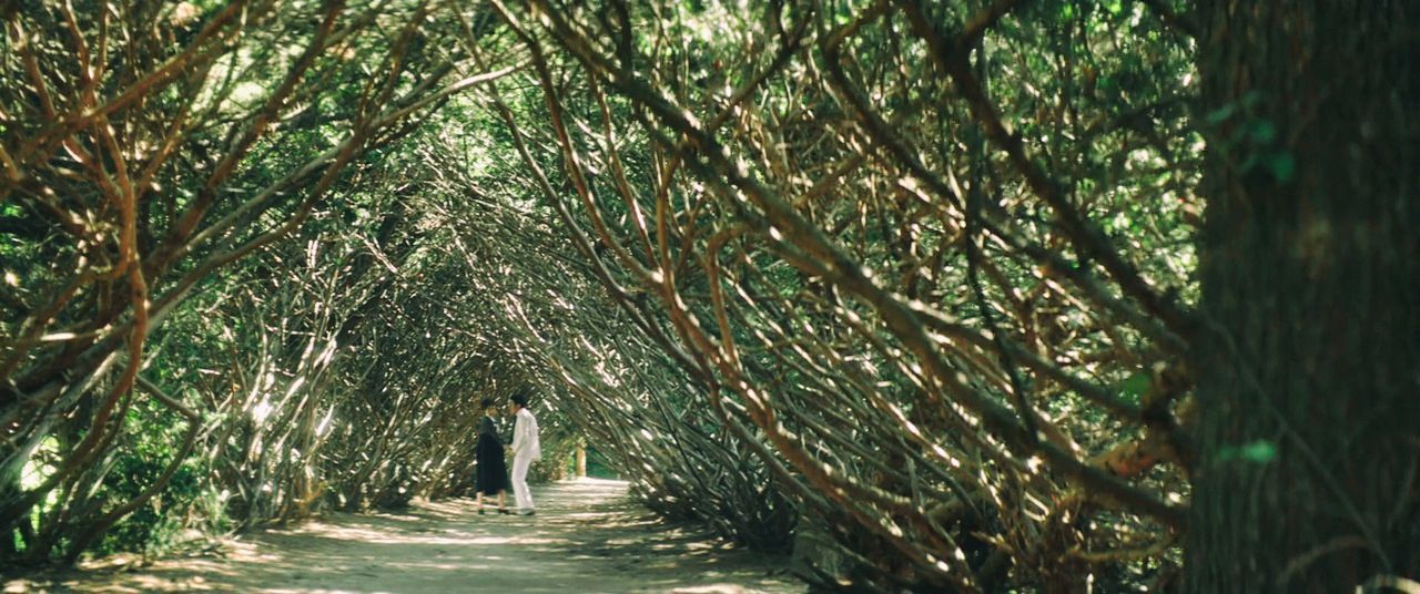 Awesome Cinematography — The Handmaiden (2016) Gorgeous camerawork. From...