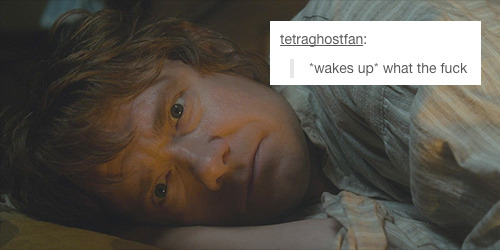 hobbitunderthemountain:  are these still a thing