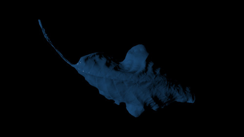 A Leaf. Blue.