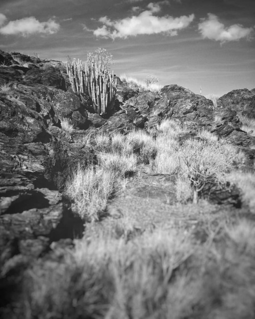 Desierto. 2 #huaweip20lite #siouxcity #grancanaria #blackandwhite #blancoynegro #mobilephoto #landscape