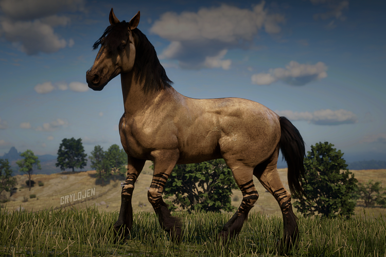 Horses Belonging To Online Story Characters