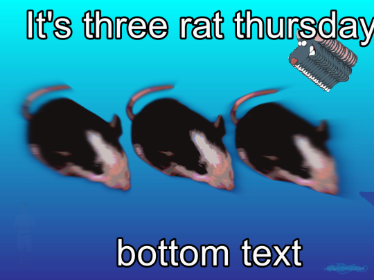 guiltyidealist:guiltyidealist:guiltyidealist:It&rsquo;s three rat thursdayOh