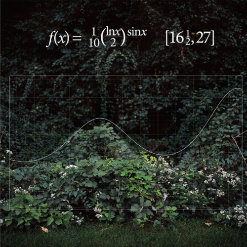  Found Functions “Nevertheless, the fact is that there is nothing as dreamy and poetic, nothing as radical, subversive, and psychedelic, as mathematics. It is every bit as mind blowing as cosmology or physics… and allows more freedom of expression