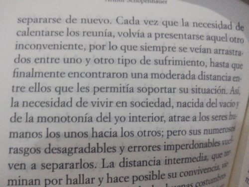 hachedesilencio:  El arte de insultar / Arthur Schopenhauer