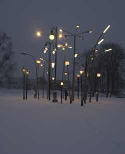 lahojadearena: Sonja Vordermaier; installation, Street Lamp Forest. 